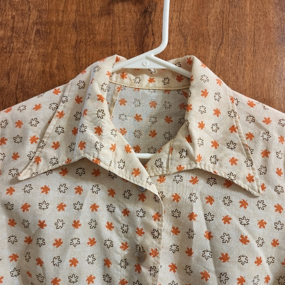 Vintage Fall shirt - Picture 2 of 6